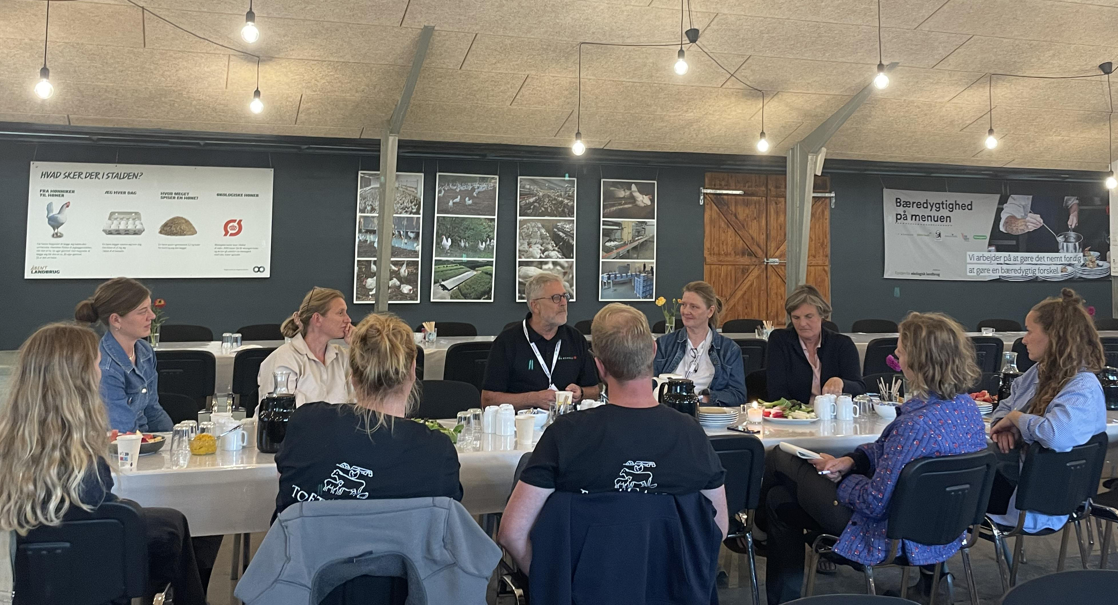 Innovationsnetværk for økologiske grøntsager – opdatering på de to første netværksmøder