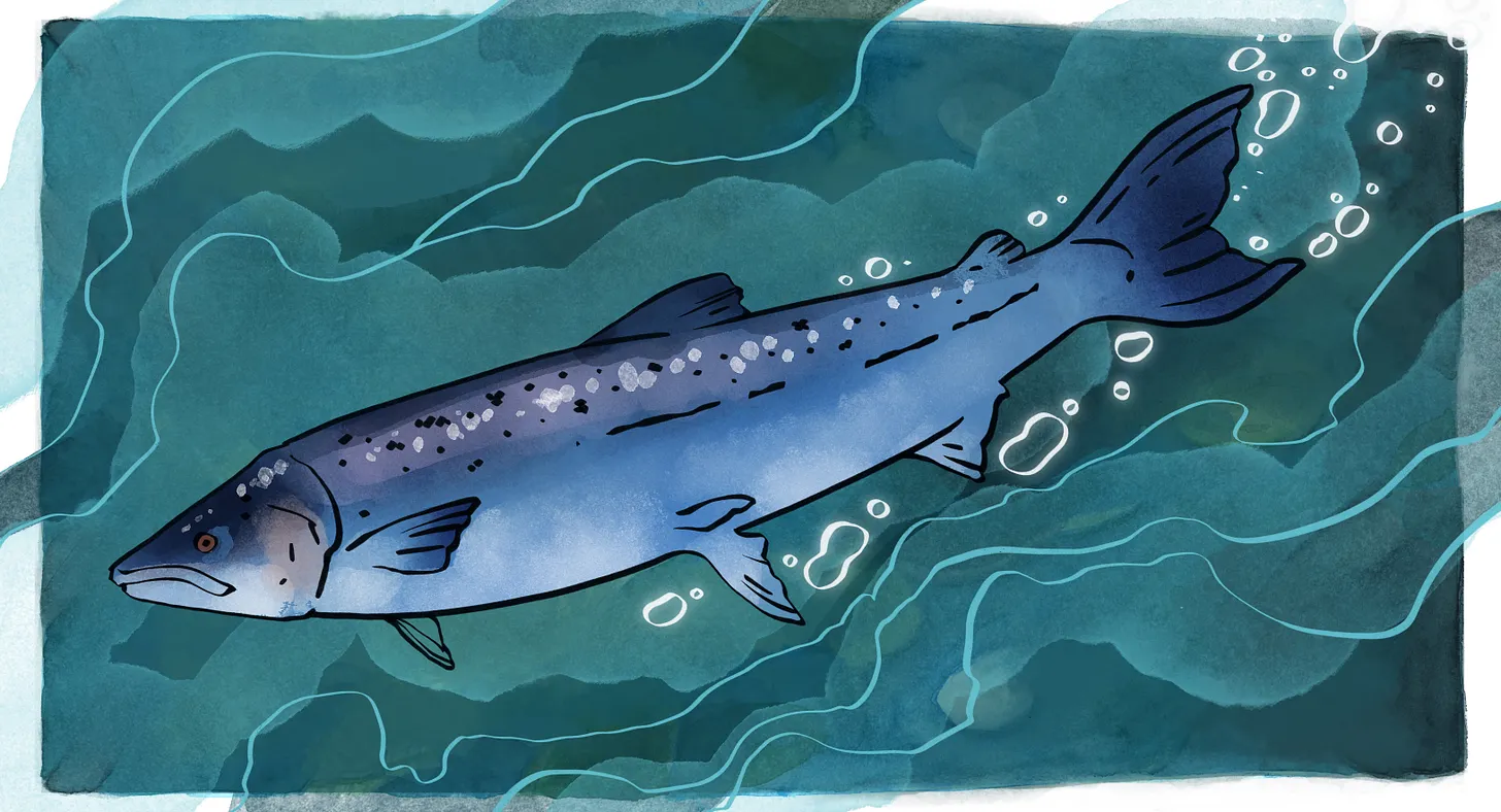 A MAD Guide for the Perplexed: Salmon